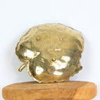 Brass Leaf - Ring dish - Vintage