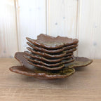Vintage Ceramic Leaf Dish Set, Studio Pottery, 1970s Nature Inspired Serving Set