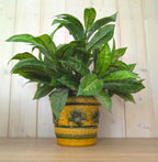 Fohr Keramik planters 184/15, set of 2, West Germany, mustard green, 1960s, flower pot pair